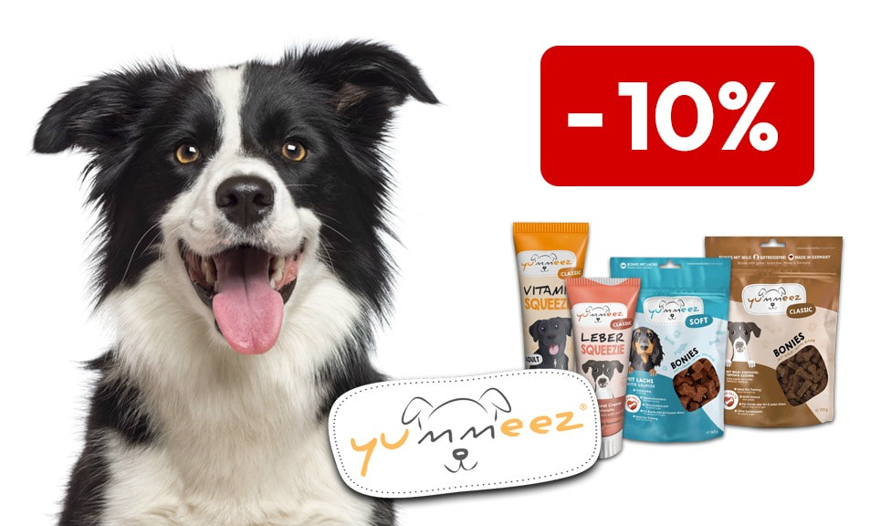 Action : 10% de rabais sur les snacks pour chiens YUMMEEZ chez votre spécialiste en aliments pour animaux iPet.ch
