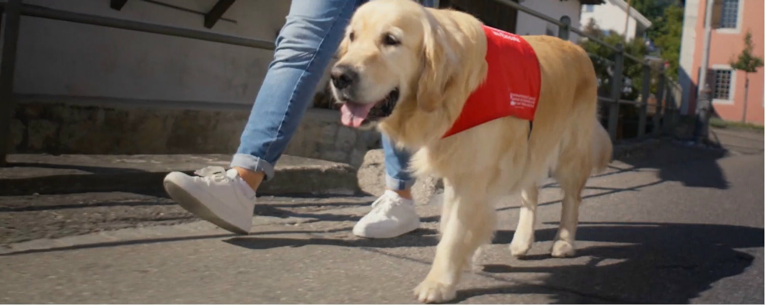 Nur für kurze Zeit: 20 CHF Rabatt für Neukunden