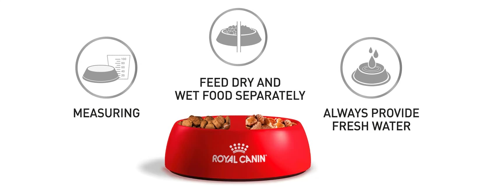 Healthy feeding support