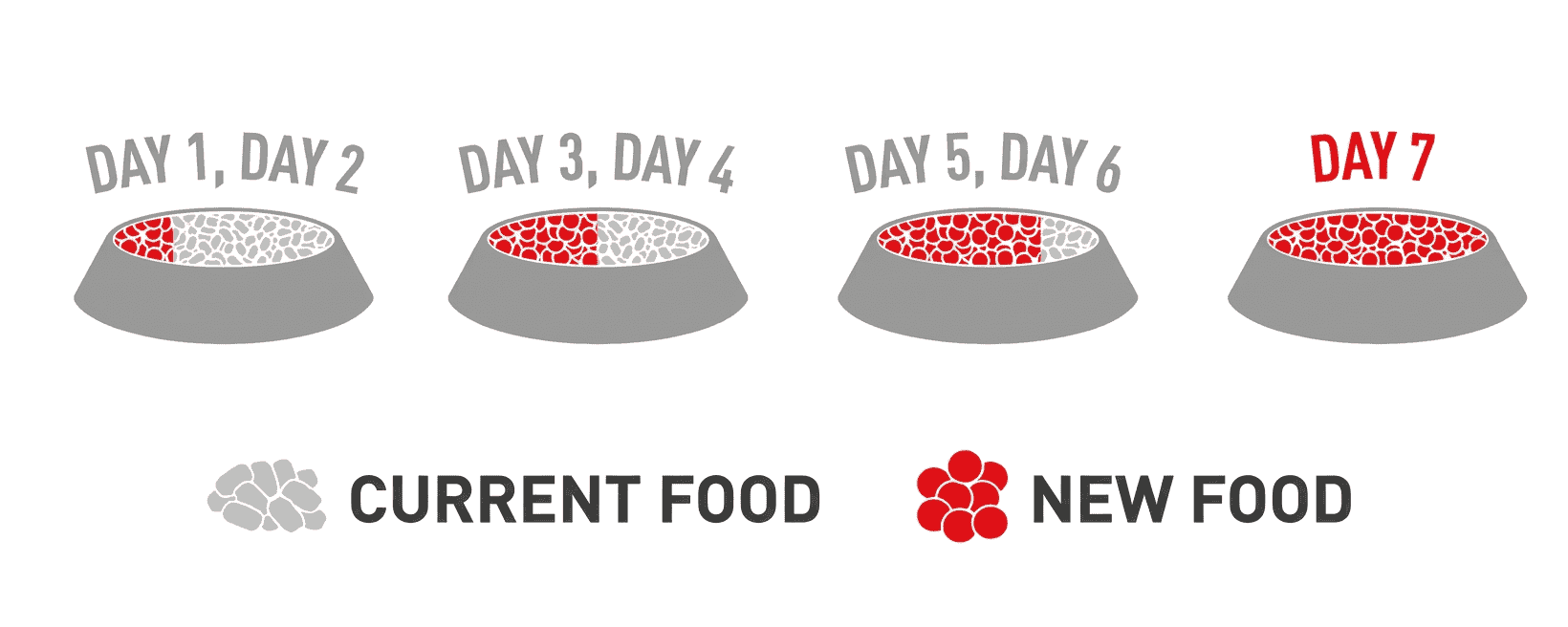 Diet transition guide
