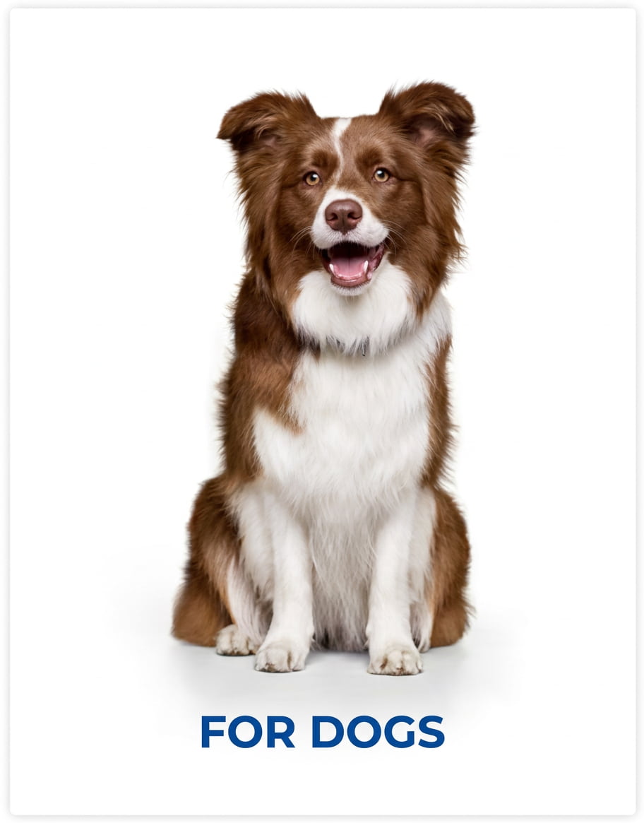 Hill's Prescription Diet for Dogs