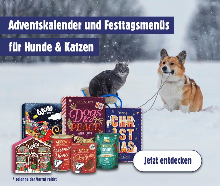 Trixie Weihnachts-Liegematte Für Hunde – Weiche Plüschmatte In Festlichen Farben