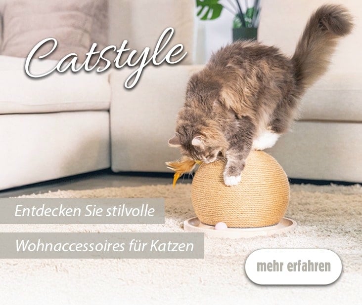 Stilvolle Wohnaccessoires für Katzen | iPet.ch