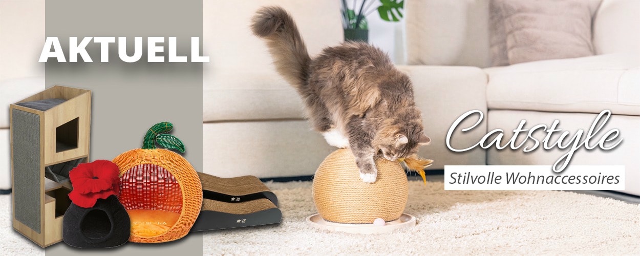 Stilvolle Wohnaccessoires für Katzen | iPet.ch