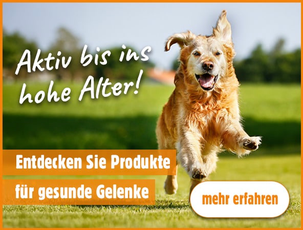Produkte für die Gelenkgesundheit bei Hunden und Katzen | iPet.ch