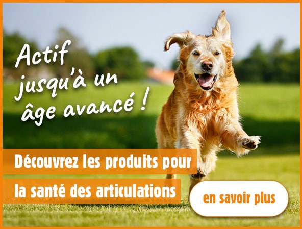 Produits pour la santé des articulations chez les chiens et les chats | iPet.ch