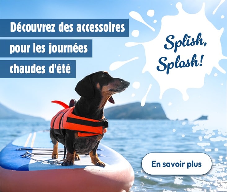 Découvrez des accessoires pour les journées chaudes d\'été