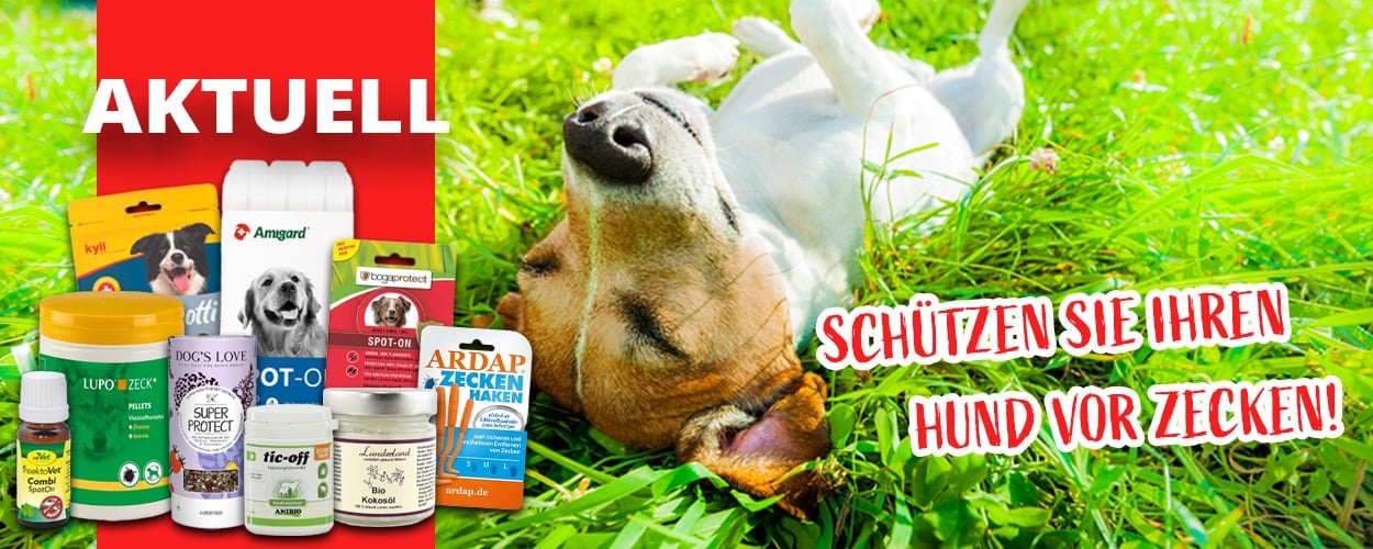 Zeckenschutz Hund: Leckerli, Nahrungsergänzungsmittel und Parasitenschutzmittel